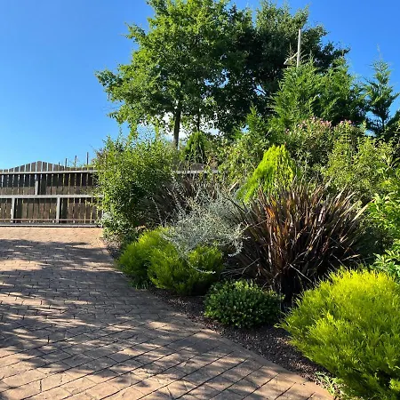 Iturriotz Berezia 알리앗자