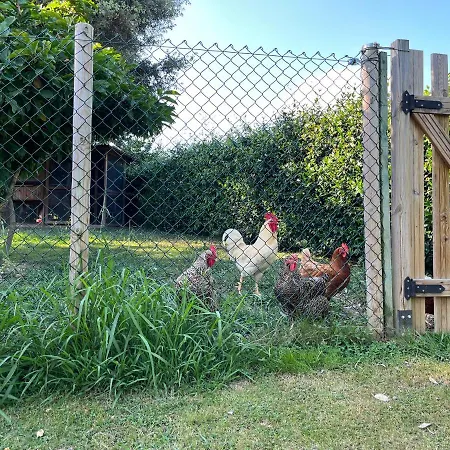 Iturriotz Berezia Homestay