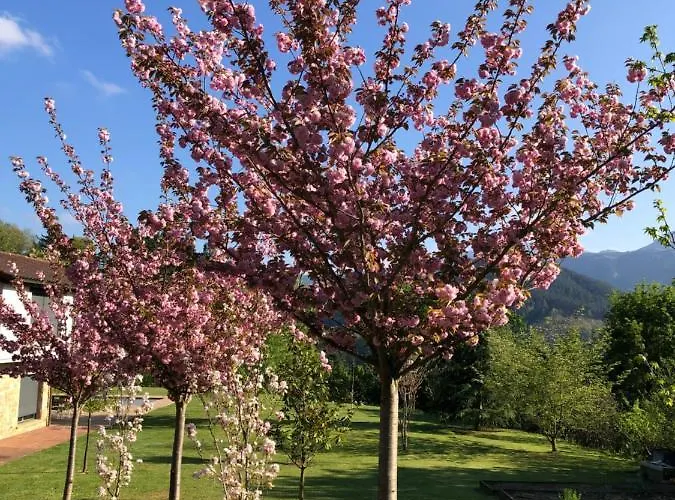 Habitación en casa particular Iturriotz Berezia *