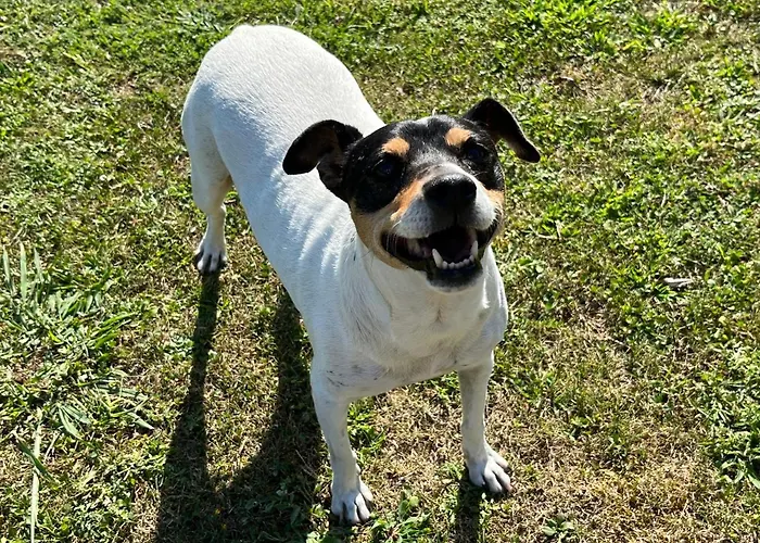 Iturriotz Berezia Habitación en casa particular