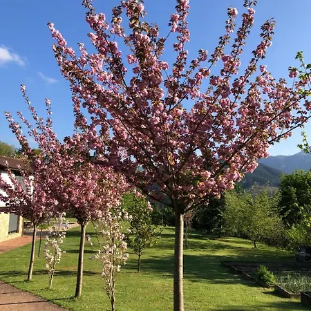 בית אירוח Iturriotz Berezia *