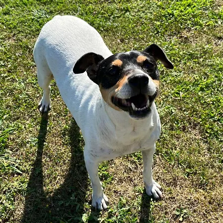 Iturriotz Berezia בית אירוח