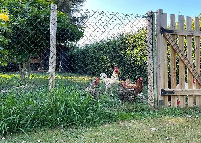 Iturriotz Berezia Accommodatie bij particulieren